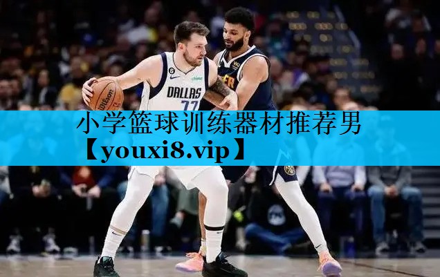 小学篮球训练器材推荐男